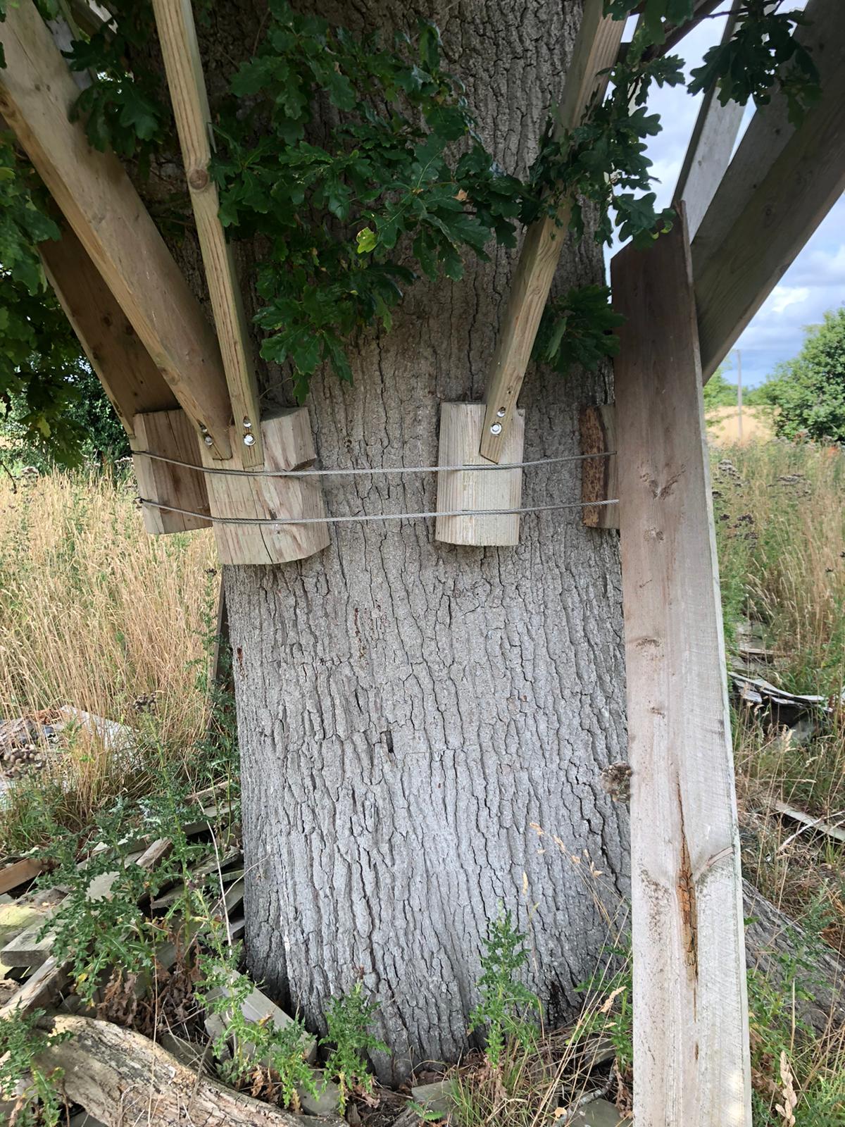 M&P — Civil and Structural Engineers | Tree House Project